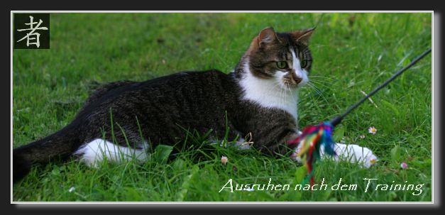 Ausruhen nach dem Training