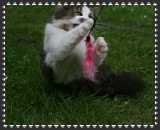 Click to enlarge