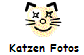 Katzen Fotos