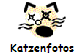 Katzenfotos
