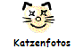 Katzenfotos