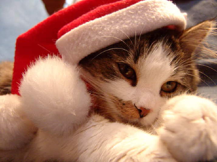 !cid_002301c8425b$ef7616d0$14b2a8c0@foto